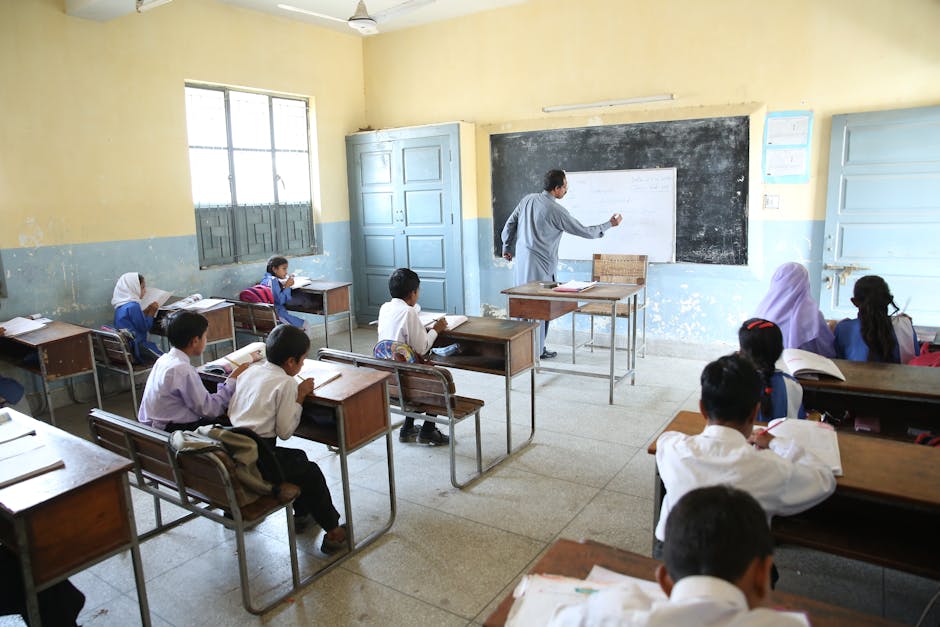 I docenti precari da anni non devono dimostrare nulla: ANIEF chiede uno stop al ricorso sistematico della precarietà nella scuola