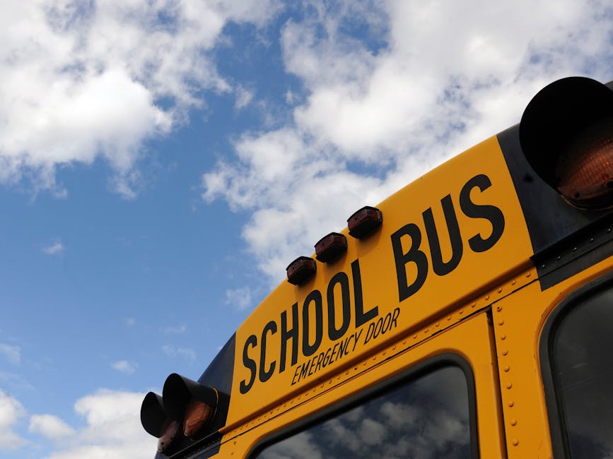 Chioggia: studentessa di 17 anni salva l’amica durante una crisi epilettica sul bus per la scuola; applausi dalle istituzioni