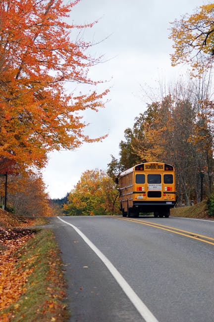 Minore esce da scuola e viene allontanato dal bus senza biglietto: torna a casa in ipotermia, Piccolotti critica Valditara