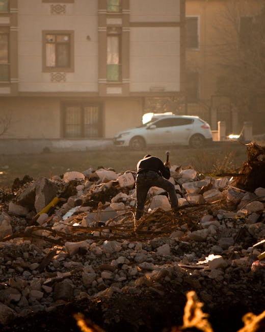 Ripartizione degli Organici ATA per Regione: il Decreto Ministeriale del 2025