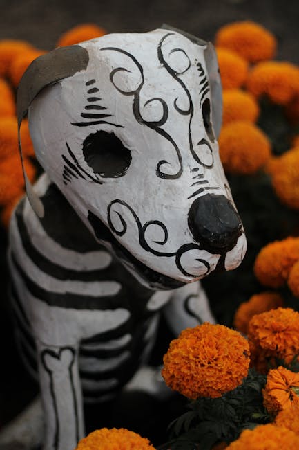 Giorno della Memoria: su Rai Gulp il racconto dei Giusti di Magenta con "Cecilia e la casa segreta"