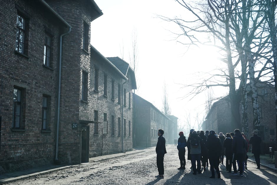 Viaggio della Memoria 2026: visita guidata online ai campi di Auschwitz-Birkenau il 26 gennaio