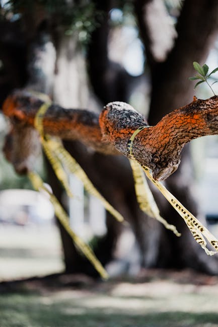 Emergenza Amianto nelle scuole: l’ONA lancia l’allarme su impianti e pavimenti a rischio