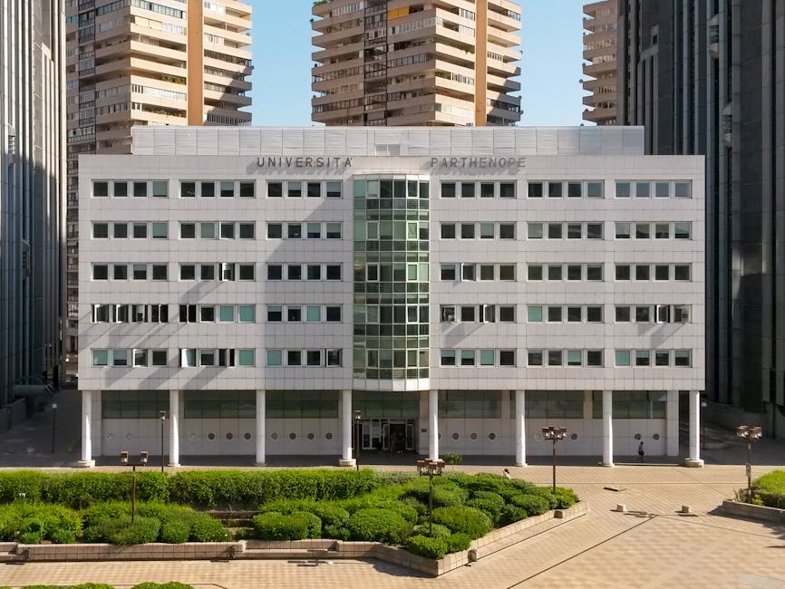 Università telematiche: il ruolo centrale nella crescita formativa in Italia