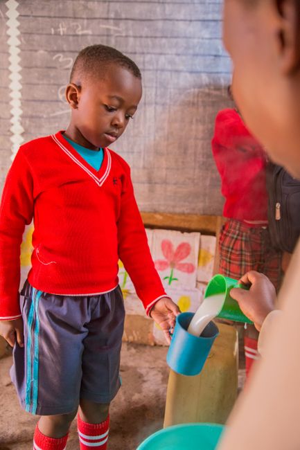 Latte nelle Scuole: guida pratica per promuovere latte e latticini tra gli alunni della scuola primaria