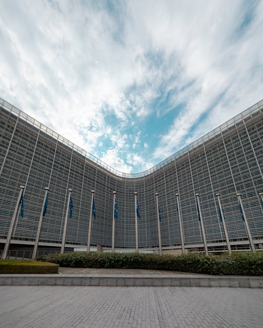 Social media e minori: chiarimenti dalla Commissione Europea