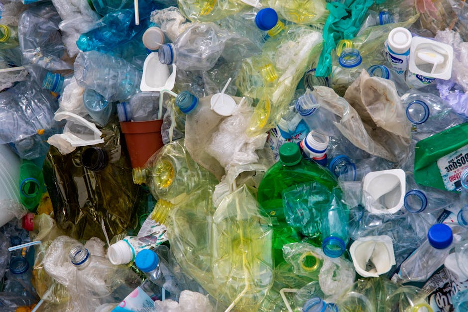 Standardizzazione Unica: Semplificare Processi e Favorire la Sostenibilità