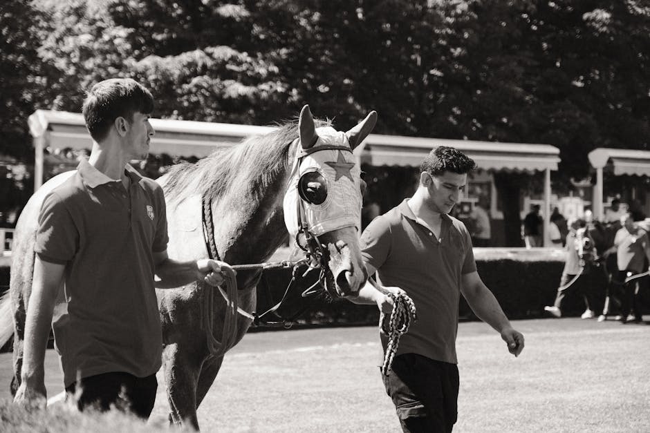 Concorso docenti PNRR 3: il ruolo del titolo di abilitazione specifico con laurea e anni di servizio