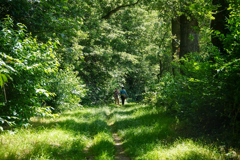 Due persone camminano in un sentiero verdeggiante, metafora del percorso di crescita personale attraverso l'apprendimento musicale.