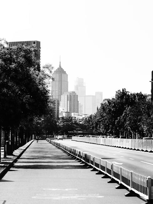 Paesaggio urbano in bianco e nero con strada alberata e skyline di grattacieli, evocativo del percorso formativo TFA sostegno.