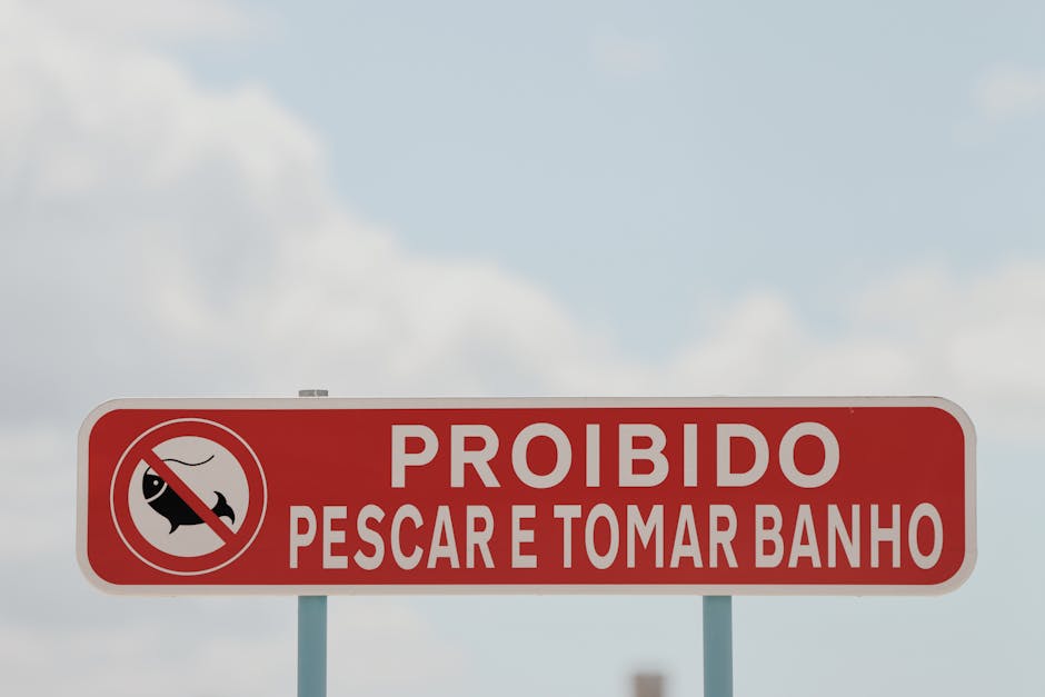 Più controlli sui permessi 104: la nuova stretta introdotta dalla Legge di Bilancio 2024
