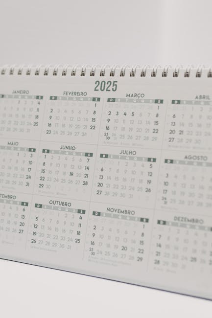 Candidature per la filiera 4+2 nell’a.s. 2026/27: scadenza 10 dicembre 2025