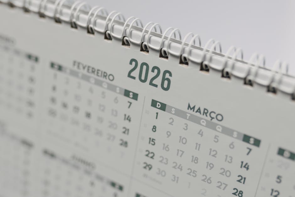 Molise 2026-2027 calendario scolastico approvato dalla Giunta regionale: date chiave per docenti e ATA