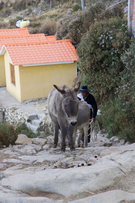 Riflessioni sulla vita e sulla morte: un percorso pedagogico guidato da esperti di rilievo