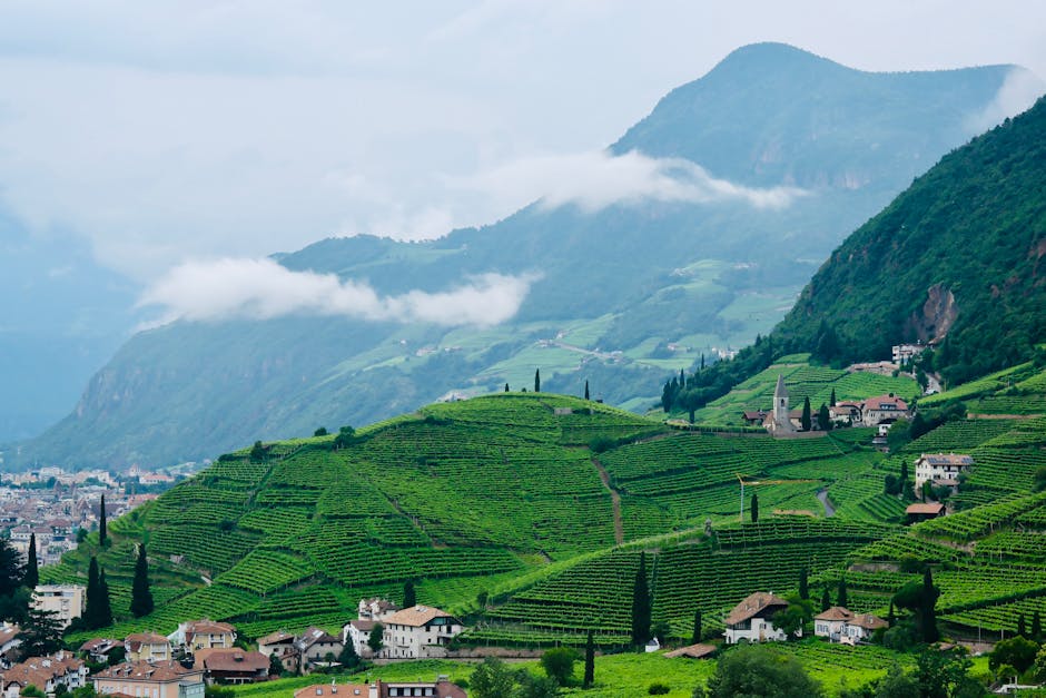 Campionati Italiani di Geografia e Iniziative sulla Mobilità Sostenibile nelle Scuole