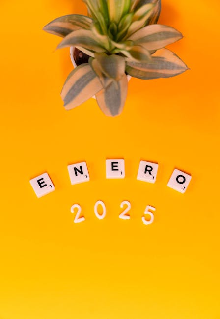 Rinnovo CCNL Scuola 2025-2027 firmato: Barbacci evidenzia la continuità con il rinnovo precedente