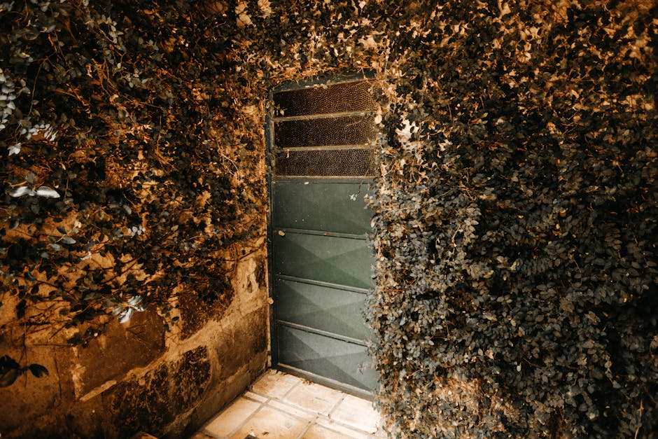 Porta geometrica nascosta dalla vegetazione, angoli adiacenti e linee che si intersecano in un'architettura affascinante e misteriosa.