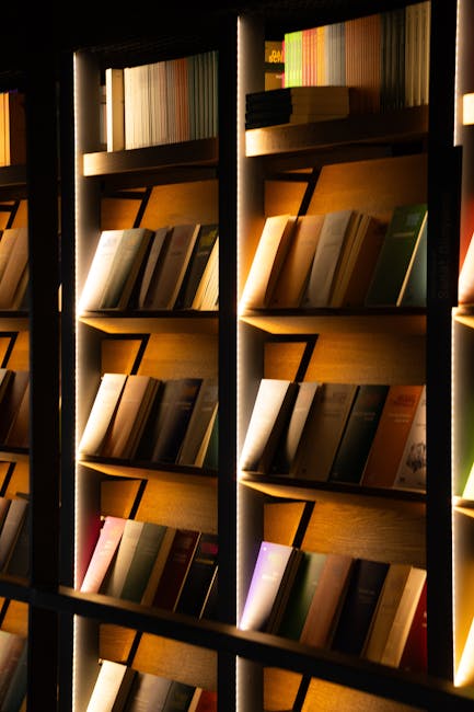 Biblioteche e minori: come rilanciare la lettura quando cala tra 15 e 19 anni