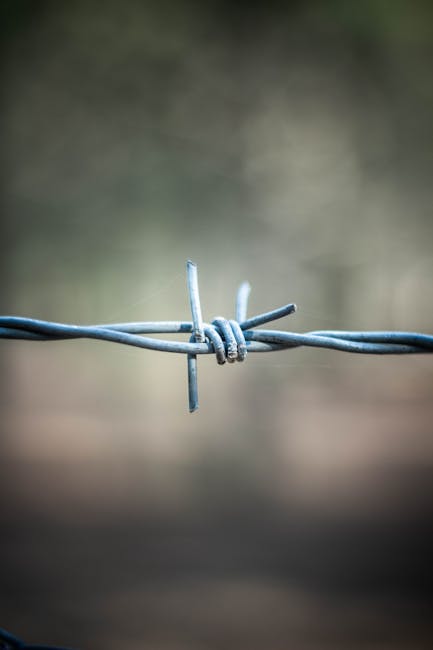 Angoli adiacenti formati da filo spinato: metafora visiva della geometria e delle relazioni angolari spiegate nell'articolo.