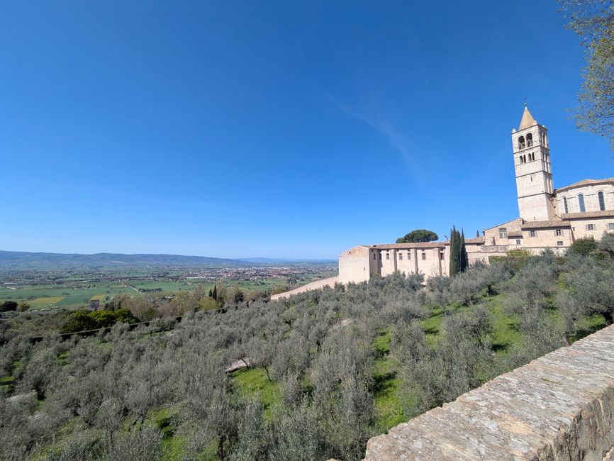 Maturità 2026 in Umbria: il piano operativo per le 216 commissioni e il messaggio istituzionale ai candidati