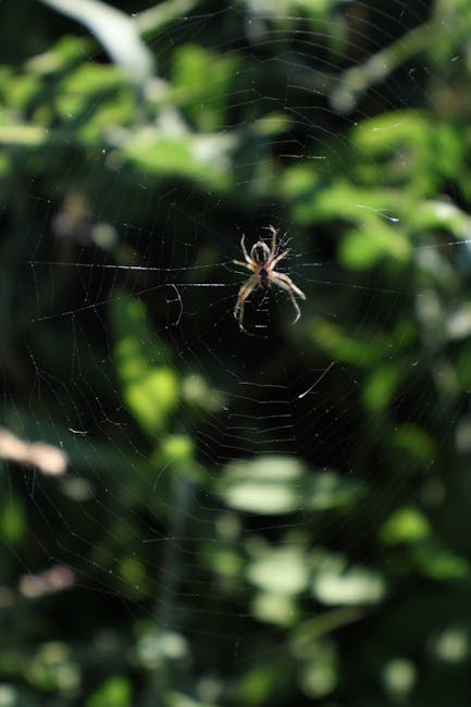 Registro elettronico: accesso riservato a genitori con Spid o Cie, i presidi chiedono uno Spid dedicato alle scuole