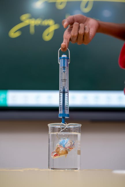 A scuola di democrazia: le lezioni di attivismo pedagogico e l’esperienza di Scuola Città di Casalmaggiore (CR) [INTERVISTA]