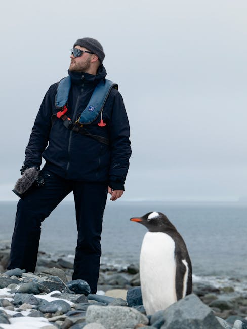Ricercatore e pinguino in Antartide: studio e conservazione della fauna selvatica per la biodiversità futura