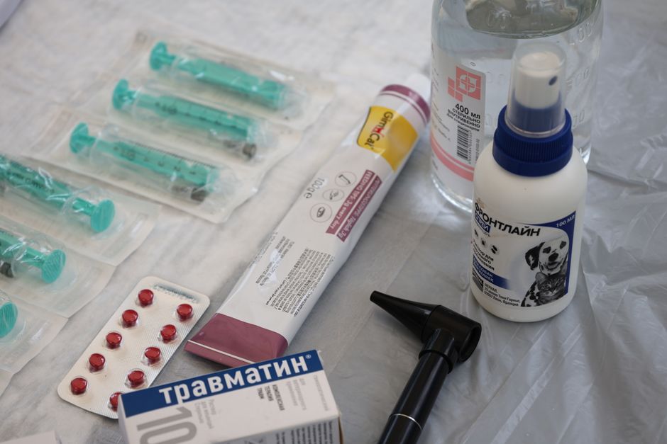 Medicina e Veterinaria, la riforma del merito e il rischio di una selezione basata sul reddito familiare