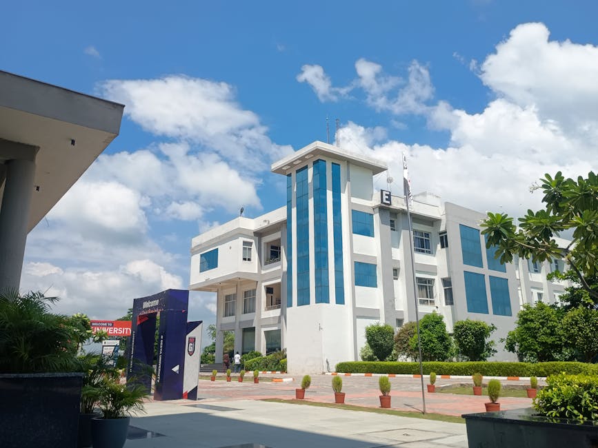 Educazione alla legalità: percorsi concreti di un istituto sardo che va oltre l'istruzione