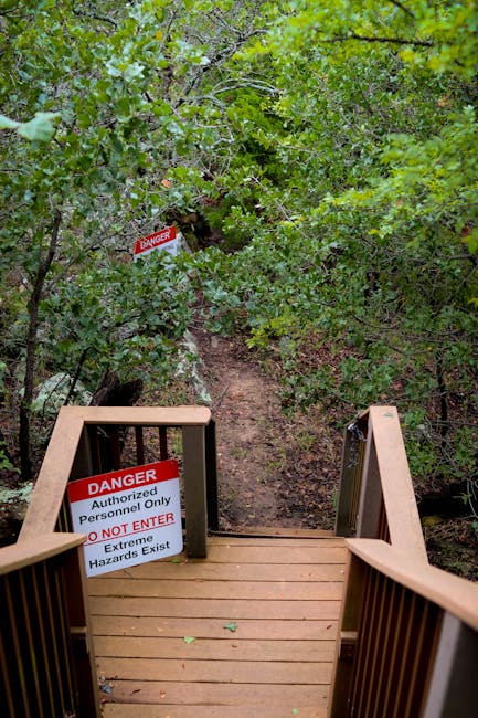 PEI differenziato: l’Autorità Garante delle Persone con Disabilità mette in guardia sui rischi di adottarlo troppo presto