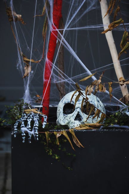 Violenze su un 15enne con disabilità nella notte di Halloween: alcuni coetanei sotto accusa