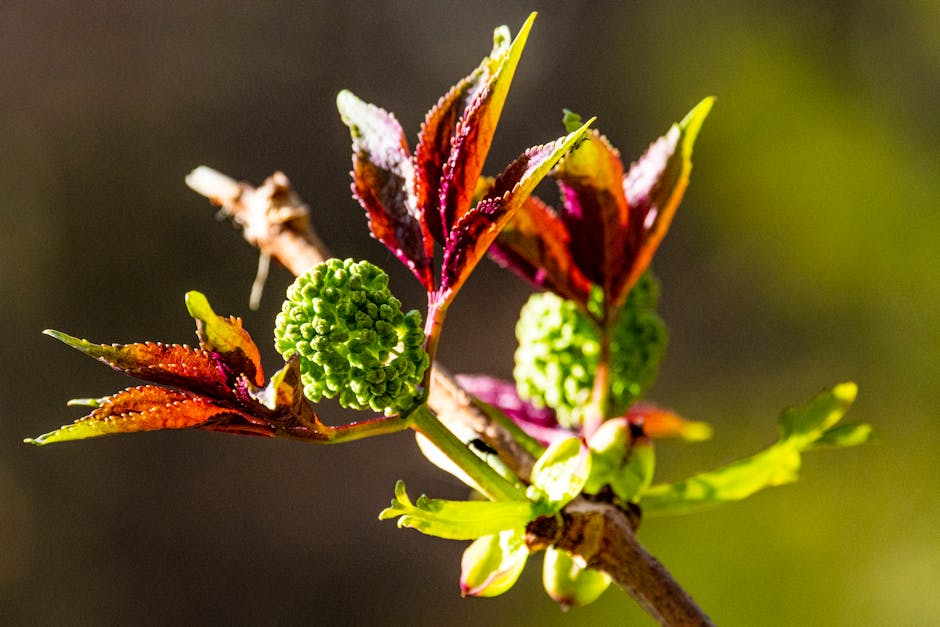 D’Aprile e Luongo (UIL Scuola RUA): Focus sul personale all’estero nel prossimo rinnovo contrattuale