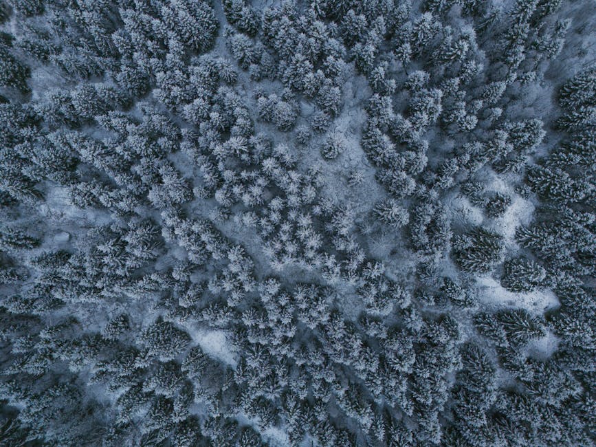 Interruzione temporanea dei servizi ANAC su Acquisti in Rete PA fino al 25 novembre 2025