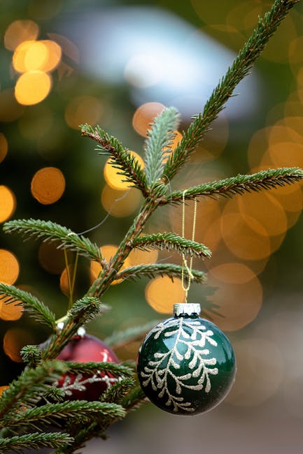 Vacanze di Natale 2025 nella scuola: le date regione per regione