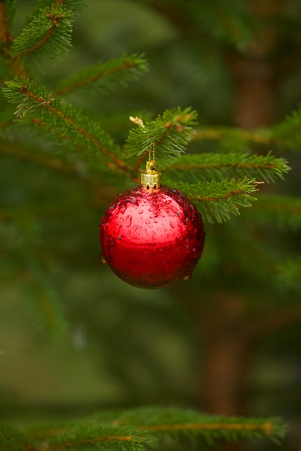 Sostegno Indire: sedi delle prove finali del 20 dicembre 2025