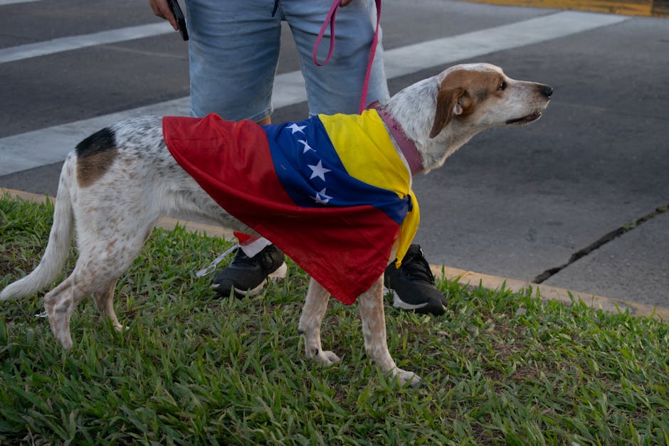 Venezuela occupato e Maduro catturato: gli studenti italiani in piazza contro la spirale guerrafondaia