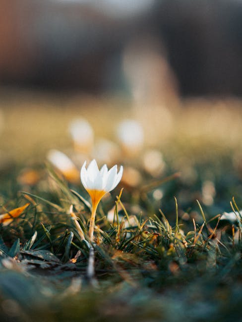 Mobilità 2026: requisiti per presentare la domanda e finestre 2026/2027 (diretta 20 marzo ore 17:00)