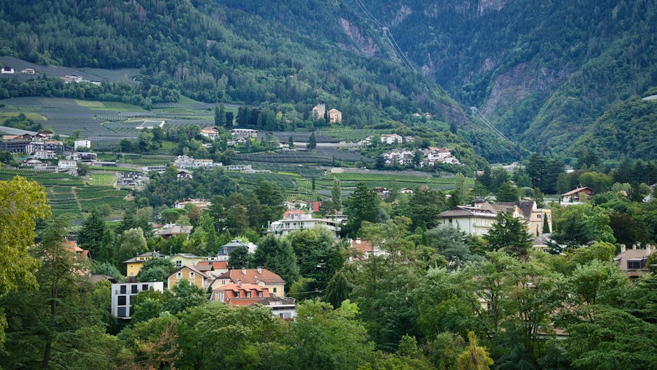 Bolzano: scioglimento della riserva nelle GPS e GI entro il 24 luglio 2026