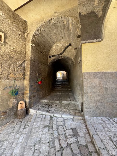 Molise 2026/2027: 21 cattedre sul sostegno vacanti e forte domanda di lettere alle medie a Isernia