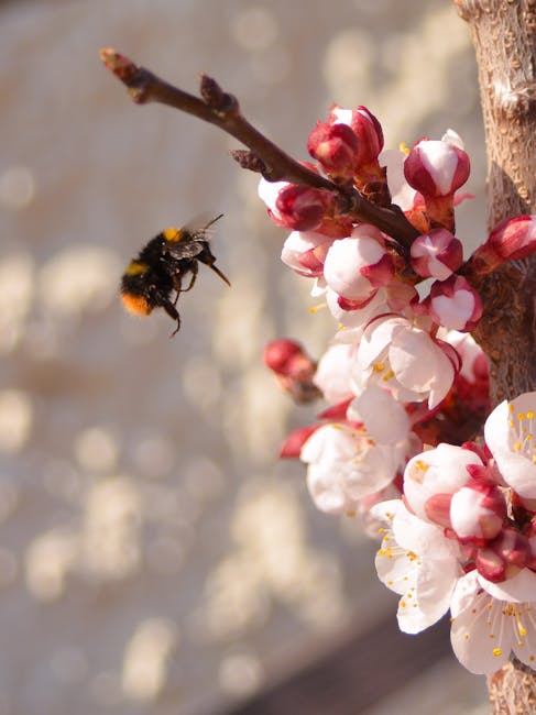Inizio della primavera 2026: analisi multidisciplinare per la scuola