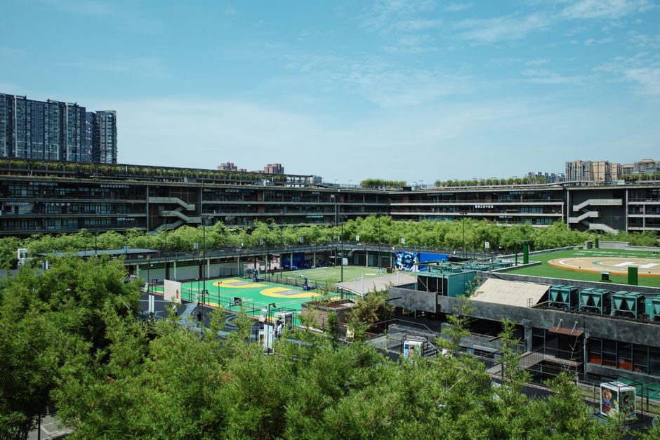 Uniba apre a Chengdu: il nuovo college italiano per titoli doppi in Cina
