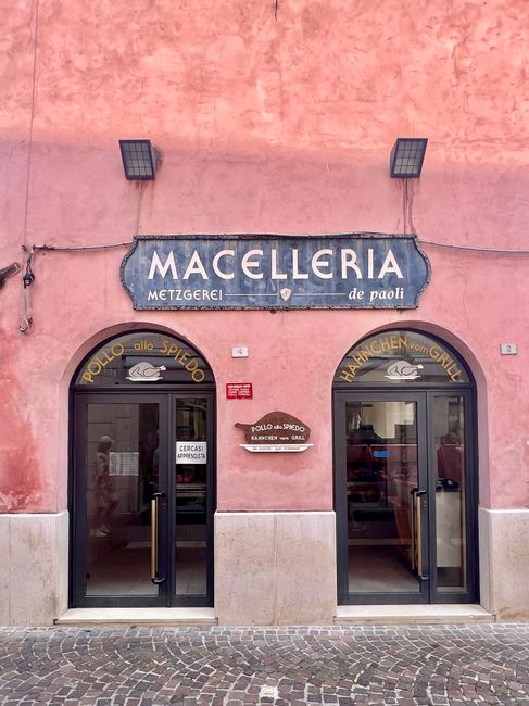 SNALS Macerata critica Piano Estate e chiede maggiore rispetto per il personale scolastico