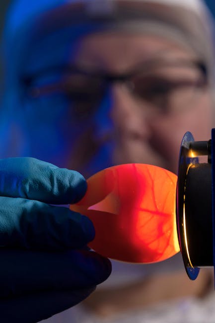 Percorsi 4+2 di Istruzione Tecnica e Professionale 2026/27: Candidature e Procedura Ministeriale