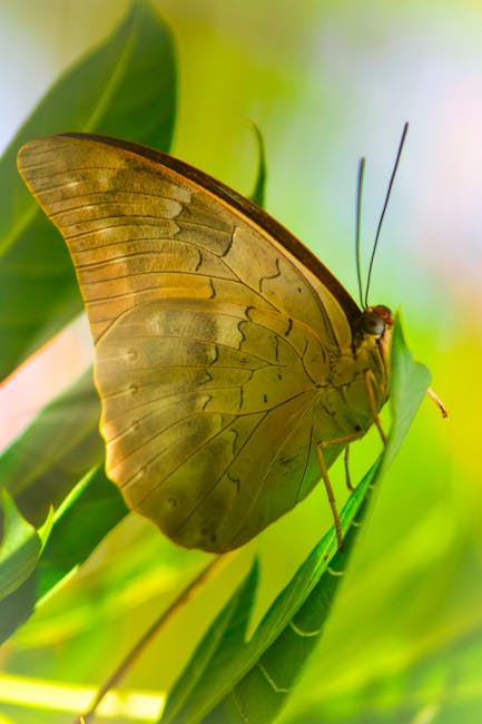 Gps 2026/28: Novità sul calcolo del punteggio del servizio docente - Le ultime anticipazioni dell’esperto