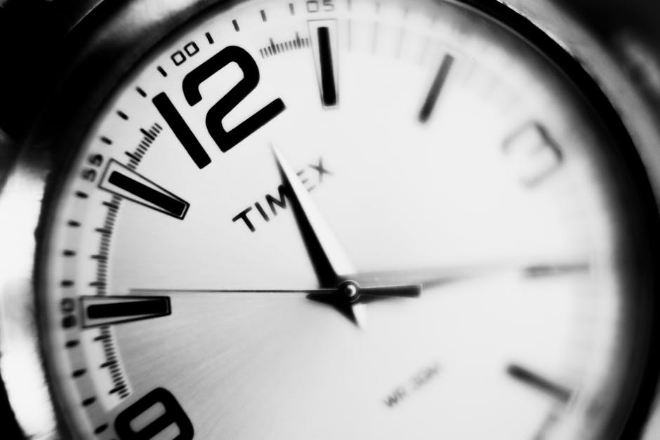 Secondo ciclo di specializzazione sul sostegno Indire: posti, scadenze e modalità