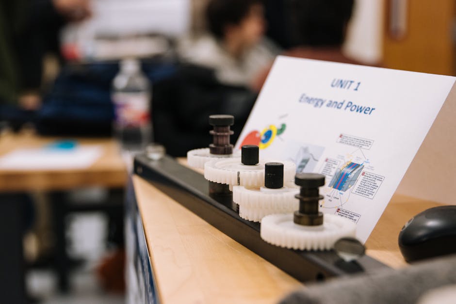 Opportunità per le scuole del primo ciclo di istruzione: candidatura aperta per il progetto sul curricolo locale e lingue di minoranza entro il 4 marzo