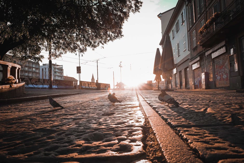 Lombardia: aumento della povertà assoluta e livello di dispersione scolastica tra i più bassi d’Italia