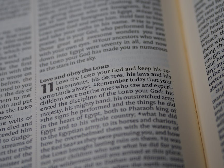 A 11 anni sempre sui libri: tra critiche e difese del carico di studio