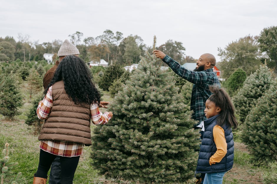 Famiglia nel bosco e l’udienza del 16 dicembre: bambini che non sanno leggere e solo la maggiore scrive il nome