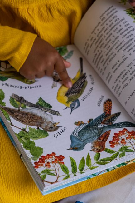 Albi illustrati nella didattica: come selezionare risorse di qualità per l'anno scolastico 2026/27